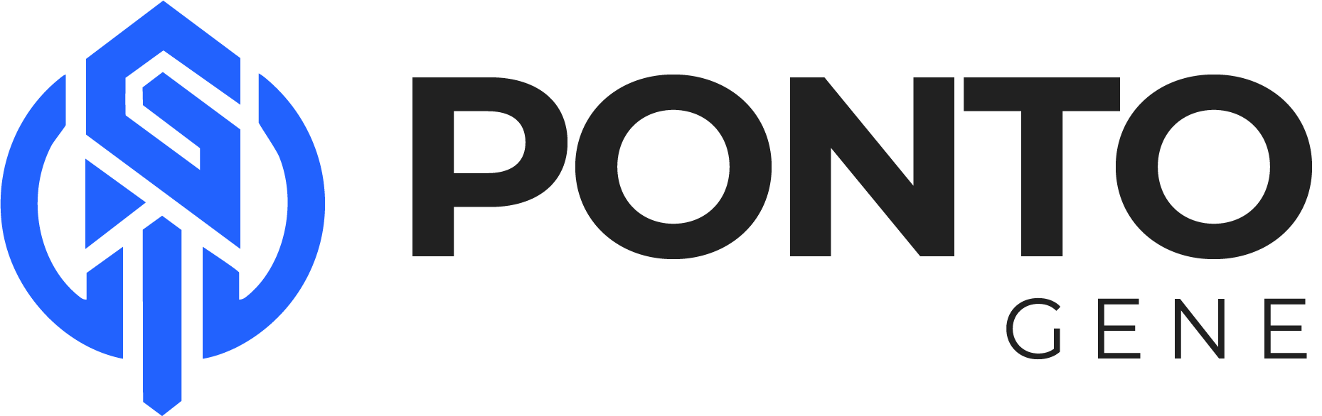 PONTO GENE